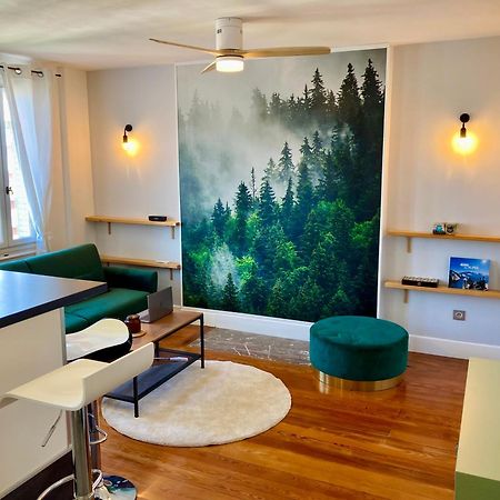 Le Nivolet, Cosy Appartement Chambery Exterior photo